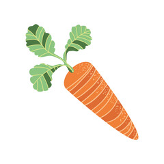 carrot fresh icon