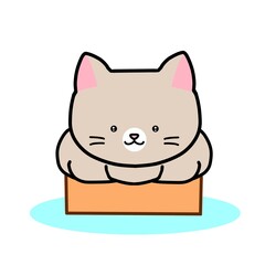 狭い箱に入る猫さん