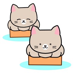 段ボール箱に入る猫さん