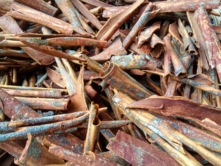 Cinnamomum cassia. Heap of dried and crushed cinnamon sticks, with left-over outer bark, or unfinished shaving.