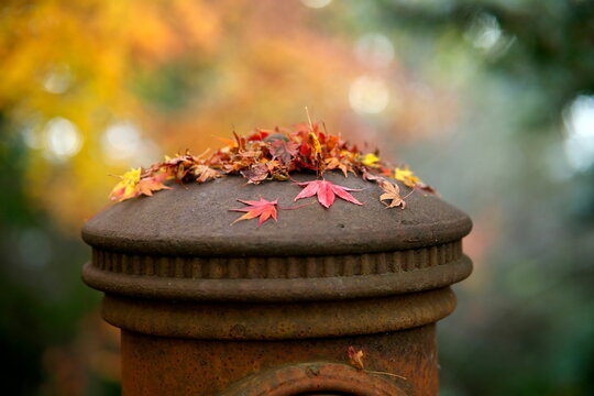 Hyogo,Japan- November 23, 2021: An obsolete rusty mailbox in autumn  
