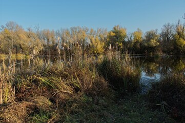 Old Nitra is the original bed of the Slovak river Nitra in the section from Nové Zámky to Komárno - Landor flows into the Váh.