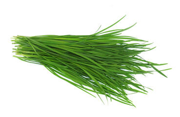 close up fresh chives isolated on white background