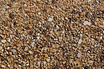 background of buckwheat