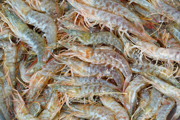 fresh shrimp as seafood background