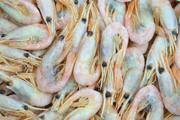 close up on frozen cooked prawns as food background