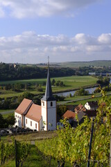 Landschaft und Weinberge bei Stammheim am Main, Landkreis Schweinfurt, Unterfranken, Franken,  Bayern, Deutschland