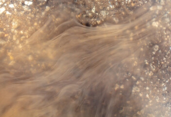 Muddy brown water in a puddle