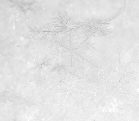 Close up of snowflakes as background.