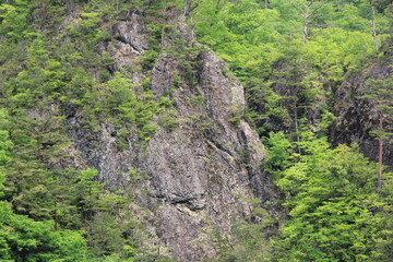 木々が生える、切り立った岩場の風景