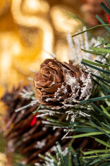 Christmas tree fir tree cone