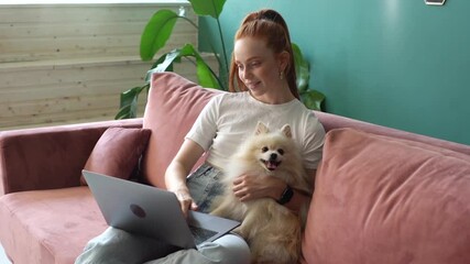 Portrait of cheerful young woman shopping online using laptop sitting on comfortable sofa cuddling pretty white spitz pet dog at apartment. Happy redhead female student studying online from home. - Powered by Adobe