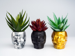 Black, silver, and gold color skull shape plant pots with red and green succlent plants isolated on...