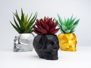Black, silver, and gold color skull shape plant pots with red and green succlent plants isolated on white background. Small modern DIY cement planter trendy decoration.
