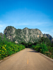The  empty rural countryside road between the green trees and flowers on the side. The way heading to little stone mountain on blue sky background on a sunny day, vertical style.