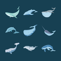 Fototapeta premium set of whales