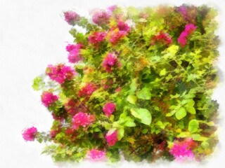 flower tree with pink flower busheswatercolor style illustration impressionist painting.