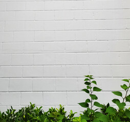 white brick wall