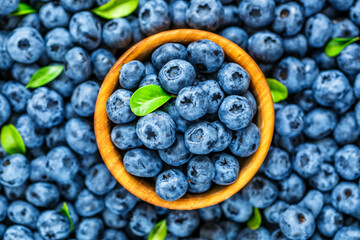 Fresh blueberries background with copy space for your text. Blueberry antioxidant organic superfood in a bowl concept for healthy eating and nutrition