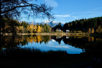 Fototapeta premium reflection of trees in lake