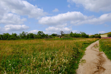 Die Wasserkuppe, der höchste Berg der Rhön im Herbst, Biosphärenreservat Rhön, Hessen,...