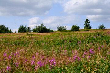 Die Wasserkuppe, der höchste Berg der Rhön im Herbst, Biosphärenreservat Rhön, Hessen,...