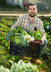 Farmer with a harvest of carrots and onions in box. High quality photo