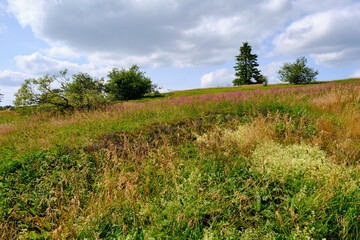 Die Wasserkuppe, der höchste Berg der Rhön im Herbst, Biosphärenreservat Rhön, Hessen, Deutschland