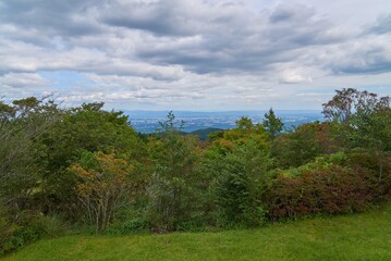 植樹祭記念緑地公園