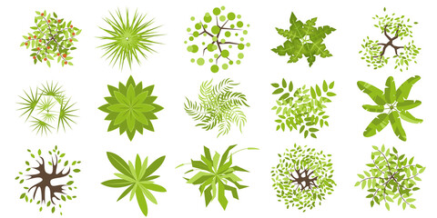 Trees and plants top view for architectural and landscape design. Different colored plants, grass and trees vector set. Graphic, isolated on white. Elements for design projects. Green spaces.