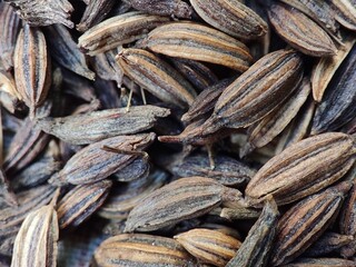 Fototapeta premium Close-up view of dried rice grains and husks, a natural texture background