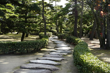 道