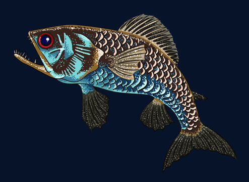 Drawing ridgehead, deep seafish, art.illutration, vector