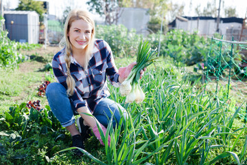 Portrait woman of farmer in a garden bed with onions harvest. High quality photo