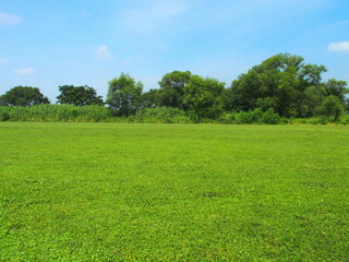 真夏の河川敷サッカー場風景