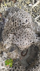 This Photo was taken from 1K Island DKI Jakarta Indonesia