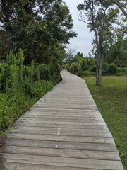 quiet boardwalk path to the beach