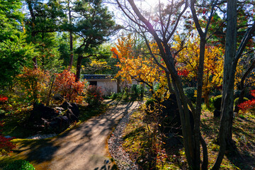 姫路城西御屋敷跡庭園 好古園