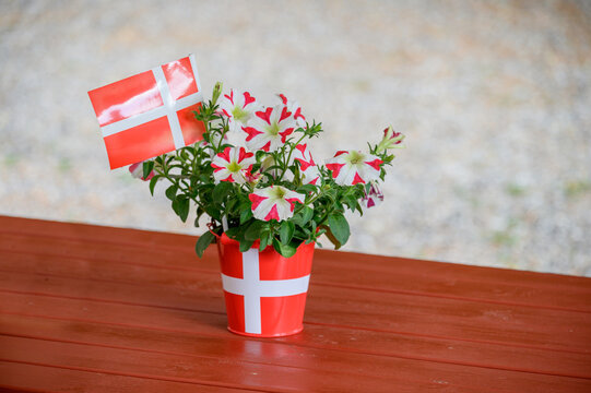 Blume mit d&auml;nischer Flagge, Nationalstolz