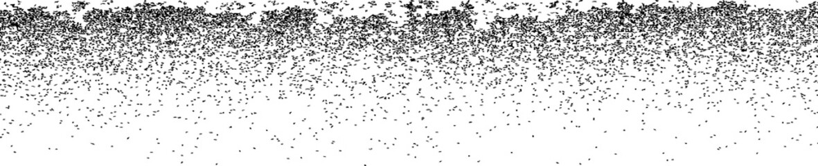 Sprayed black line .Graffiti art design . Noise dispersion logo . Spray effect .Grunge texture . Distressed element .vector 