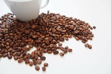 Coffee beans, Cinnamons and cup on white background. Cafe, Coffee, restaurant design elements. 