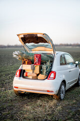 Car trunk full of gift boxes and Christmas tree