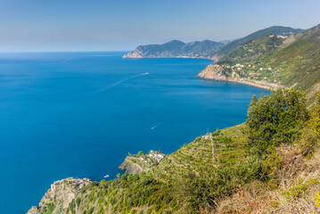 View of the vineyard on the terraces of Manarola in the Cinque Terre in Italy