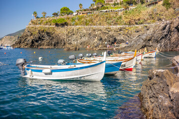 Fishing boats in the port of Manarola in the Cinque Terre in Italy