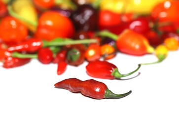 Hot chili peppers isolated on white