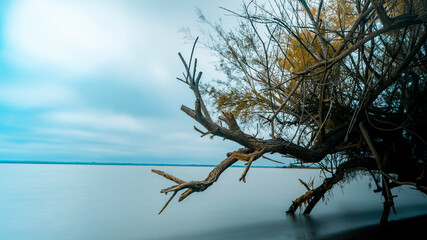 Le village de pêcheurs arbre longue pose