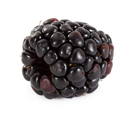 One ripe blackberry isolated on white