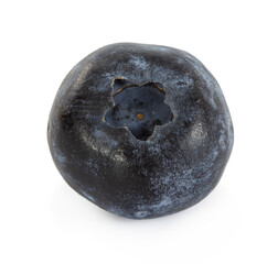 One ripe blueberry isolated on white background.