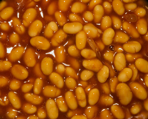 Baked beans in tomato sauce