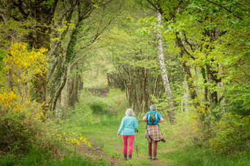 Randonnée forestière en couple